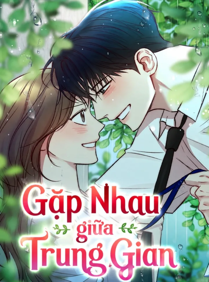 Gặp Nhau Giữa Trung Gian
